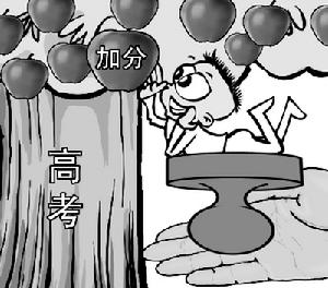 高考加分