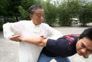 趙劍英向孫子傳授武當太乙五行拳要訣。