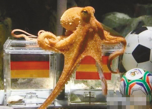 章魚哥