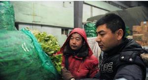 清晨6時許,司德華(右)和魏剛在烏魯木齊市北園春蔬菜批發(fā)市場挑選芹菜。