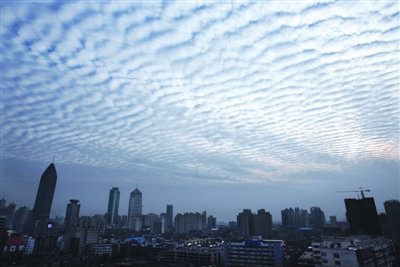 魚鱗云
