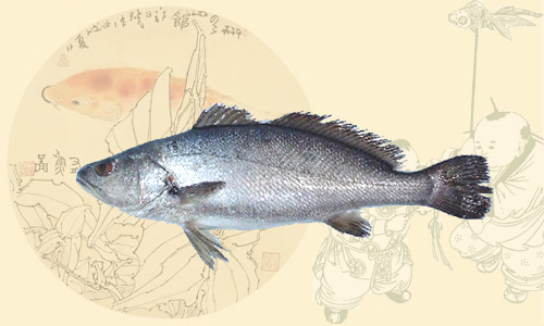 大米魚