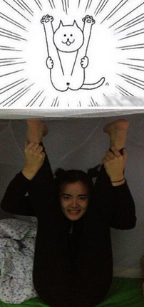 賤貓