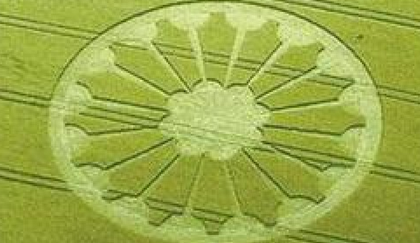 麥田怪圈