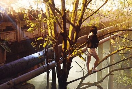 站街女上樹
