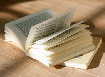 2013中國好書