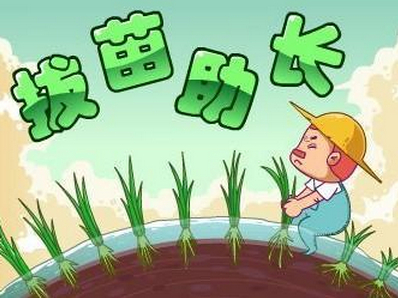 拔苗助長，揠苗助長造句大全