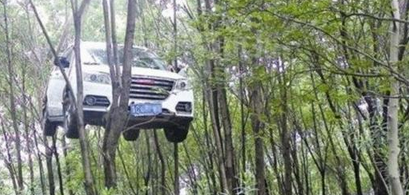 溫州一越野車掛樹上