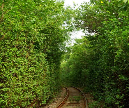 西安小清新鐵路