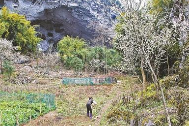 穴居部落