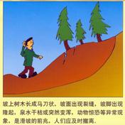 W020071122421811142600.gif