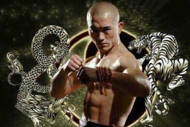 武林風(fēng)環(huán)球拳王爭霸賽
