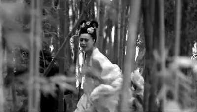 《武媚娘》給驪山種竹林