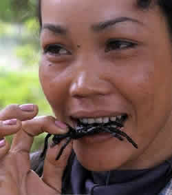 我國(guó)與柬埔寨建立外交關(guān)系