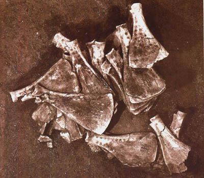 安陽(yáng)殷墟開(kāi)始發(fā)掘