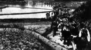 新四軍正式組建