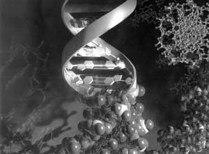 我國科學家直接發現脫氧核糖核酸新結構