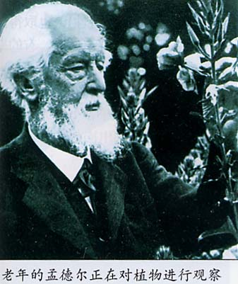 現(xiàn)代遺傳學(xué)奠基人孟德爾逝世