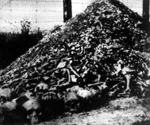 蘇軍解放奧斯維辛集中營