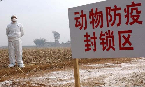 中國(guó)公布首例確診高致病性禽流感疫情