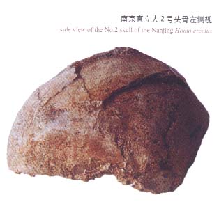 南京湯山古人類頭骨被發(fā)現(xiàn)