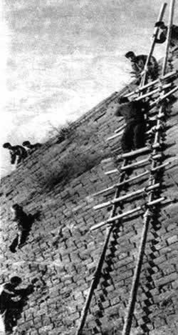 北京開(kāi)始大規(guī)模捕殺麻雀