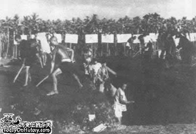 “大躍進”運動全面展開