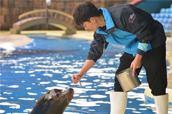 海獅lolo缺席？ 黃軒匯報演出前景堪憂