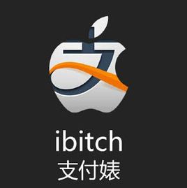 支付婊
