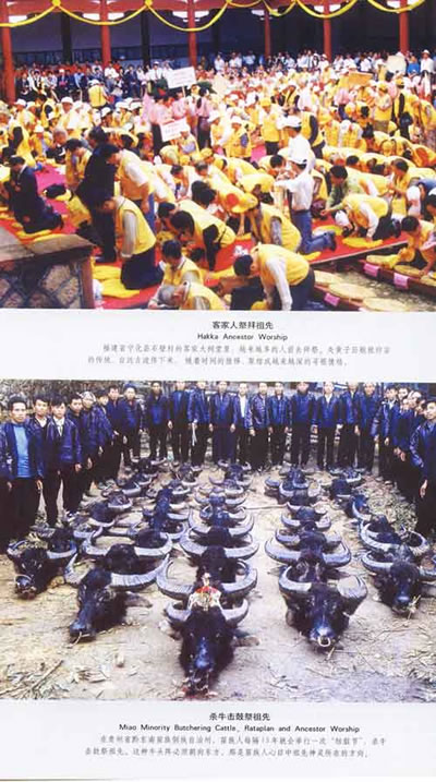 百家姓尋根祭祖掀熱潮 你家起源地在哪