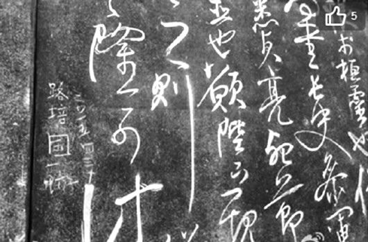 路培國一游不文明行為招網友痛心譴責