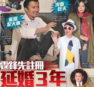 謝霆鋒欲擴張生意市場延后與王菲婚期三年