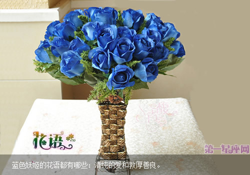 藍色妖姬的花語都有哪些？