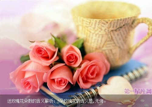 送玫瑰花朵數(shù)的含義解析