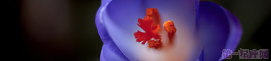 海棠花的花語(yǔ)是什么？