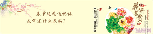 春節送花送祝福,春節送什么花好？
