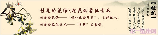 桂花的花語是什么？桂花的象征意義