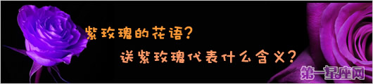 紫玫瑰的花語？送紫玫瑰代表什么含義？