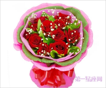道歉送花，道歉送什么花合適？