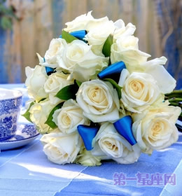送什么花代表友誼？