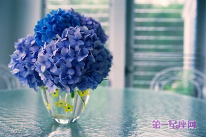 花語大全：風信子的花語是什么
