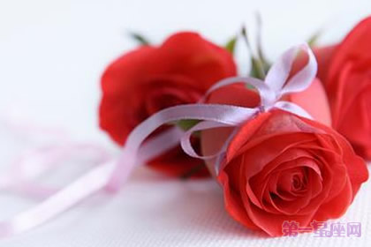 美國(guó)的國(guó)花是什么花？