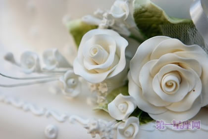 【戀愛花語】什么花代表戀愛？