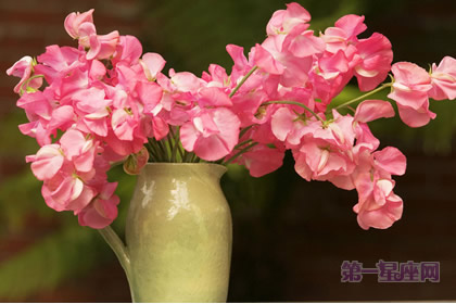 婦女節(jié)送什么花