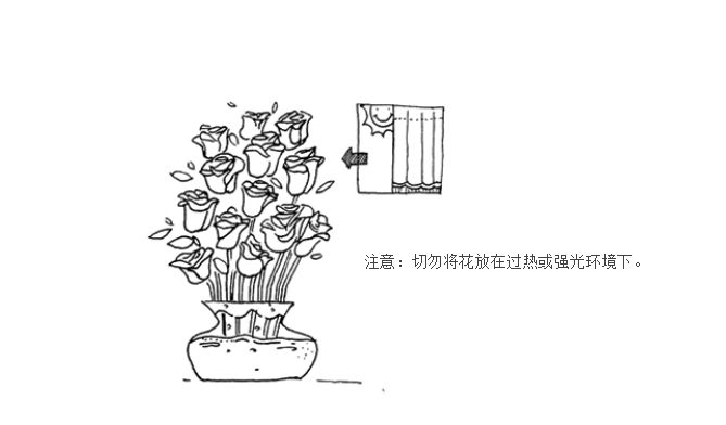 roseonly永生花養護