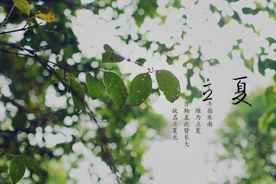 立夏的諺語大全 三聯