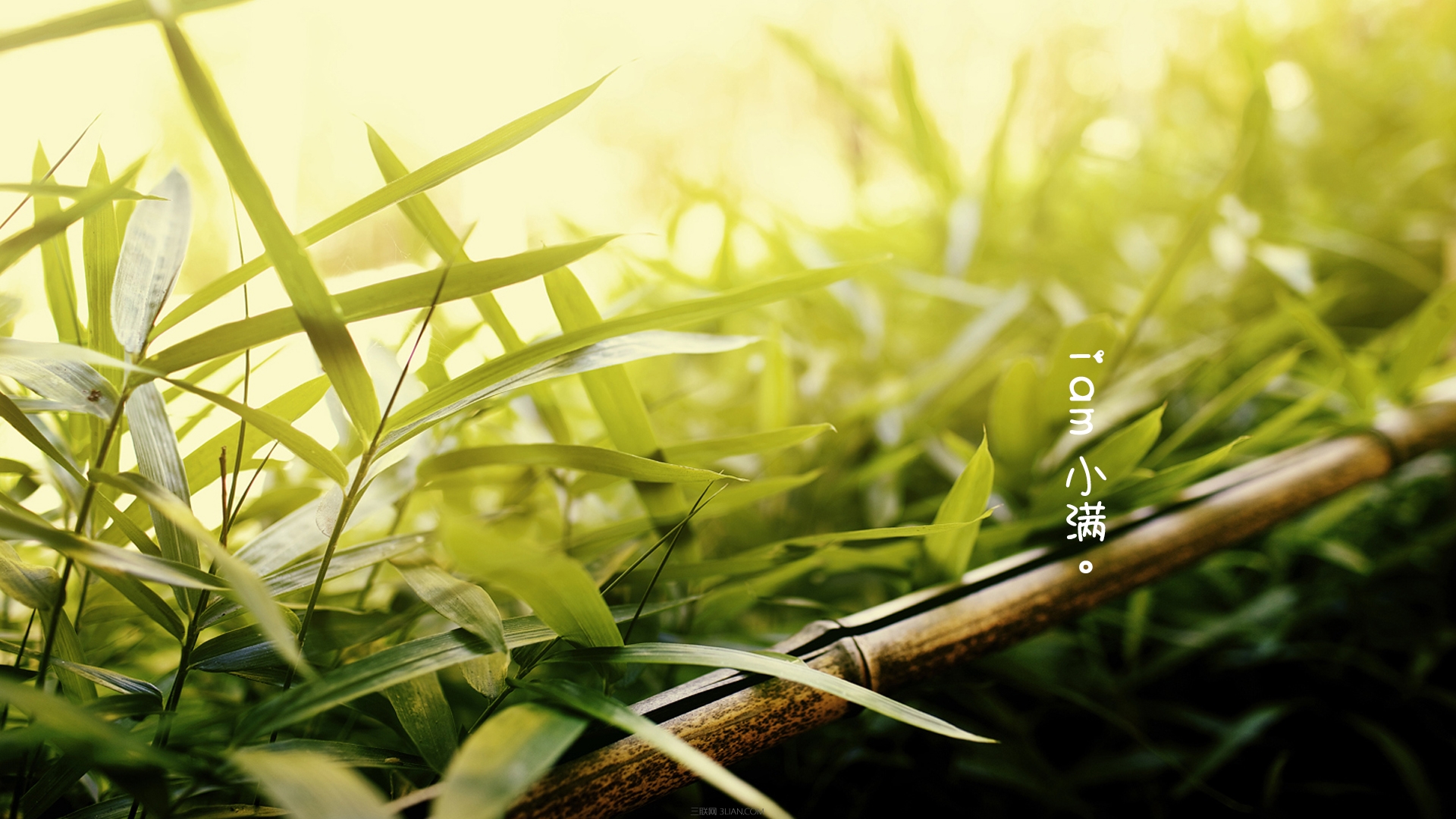 小滿時節(jié)的相關(guān)農(nóng)諺 三聯(lián)