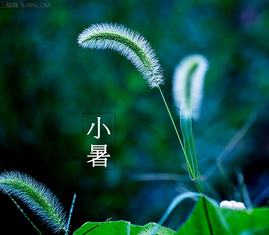 小暑養生諺語有哪些    三聯