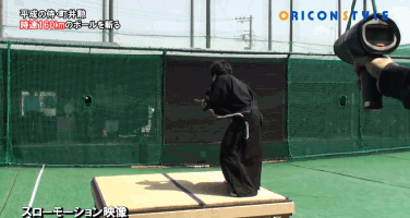 真高手