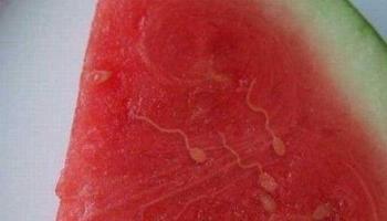 西瓜咋變這樣了